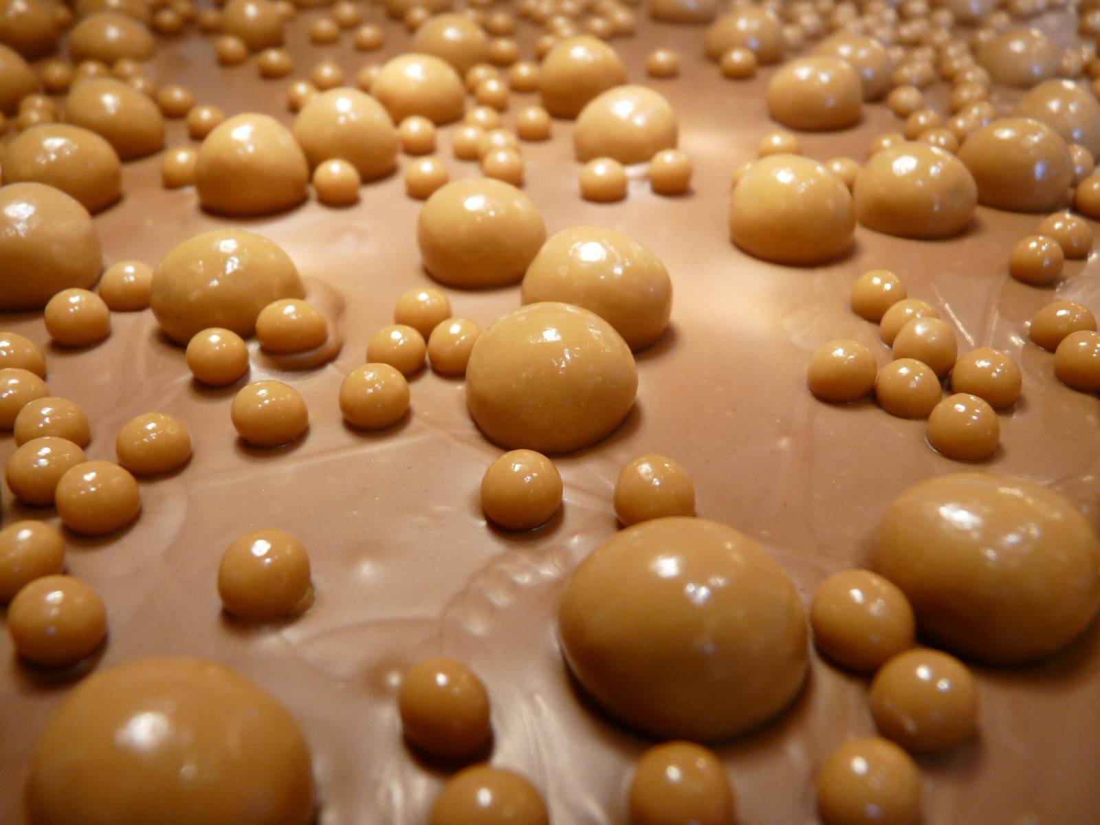 Tablette en duo de chocolat au lait et praliné gianduja